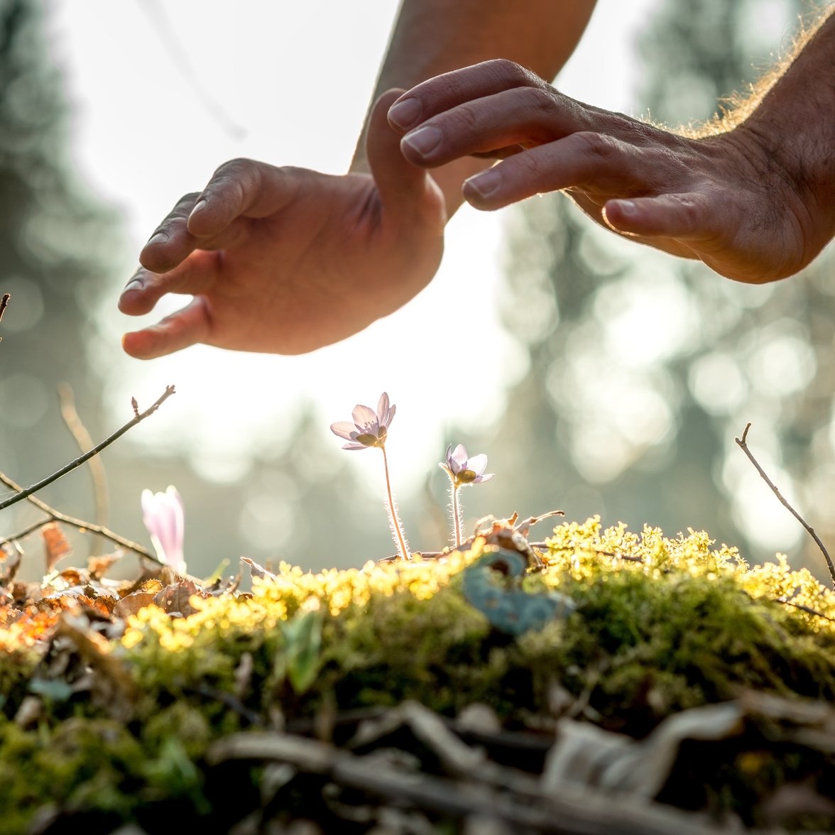 Conceptual Image of Male Hands 